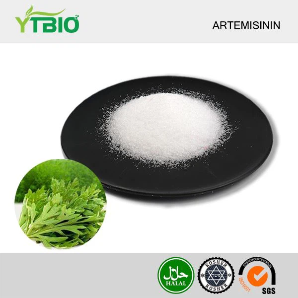 pó de artemisinina