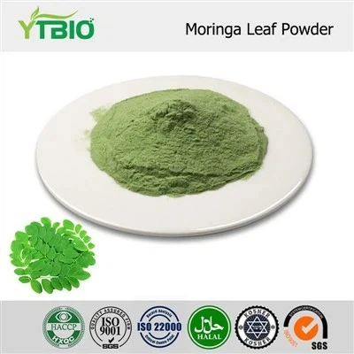 Extrato de Folha de Moringa em Pó