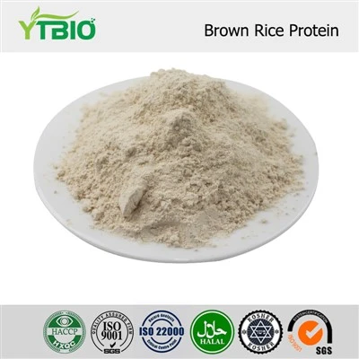 Proteína em pó de arroz integral a granel