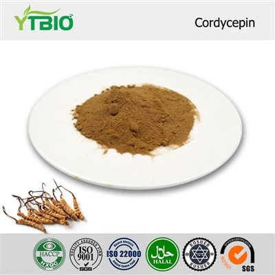 Cordycepina em pó
