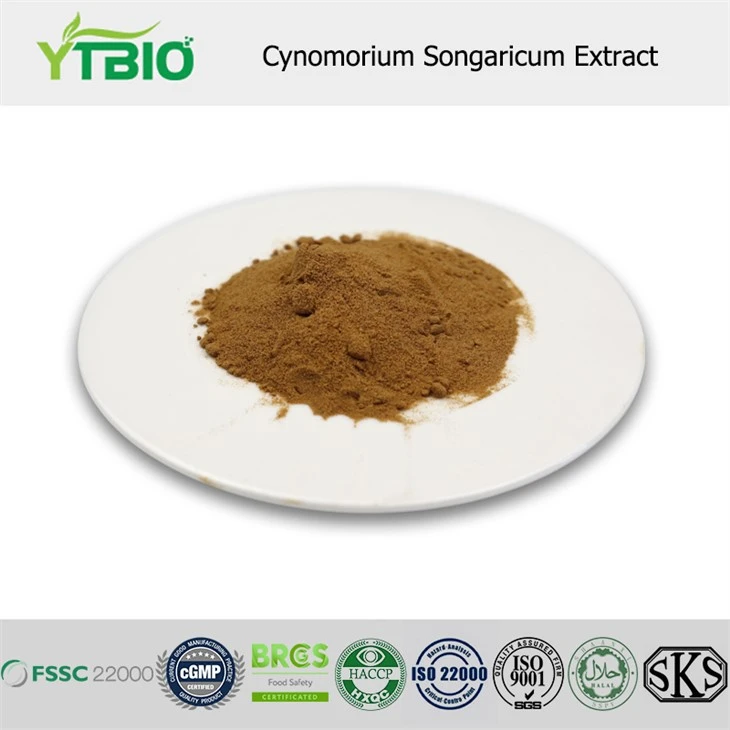 Extrato de Cynomorium Songaricum