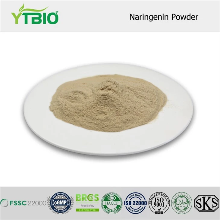Bulk Naringenin Powder Bulk Naringenin Powder