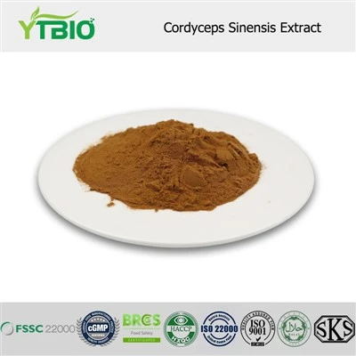 Cordyceps Sinensis Extract