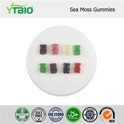 Gomas de musgo marinho